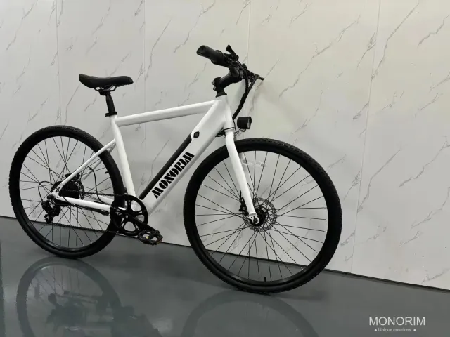 Monorim K8 E-Bike Akku 36V 250W 8A 32km/h Schnellwechsel