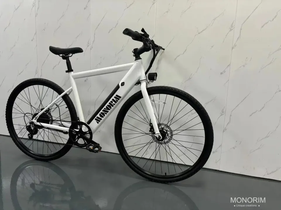 Monorim K8 E-Bike Akku 36V 250W 8A 32km/h Schnellwechsel