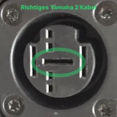 Bike Energy Yamaha-2 Ladekabel E-Bike 36V 5,0A Pin-Check